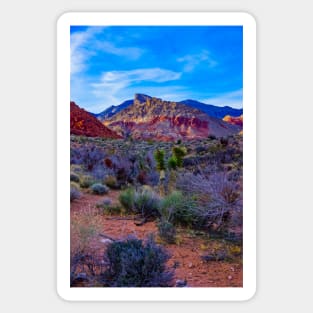 Red Rock Calico Basin 2 Sticker